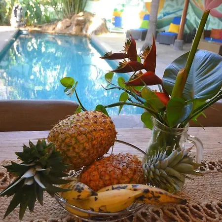 Casa N' Casa Your Own Private Tropical Paradise!